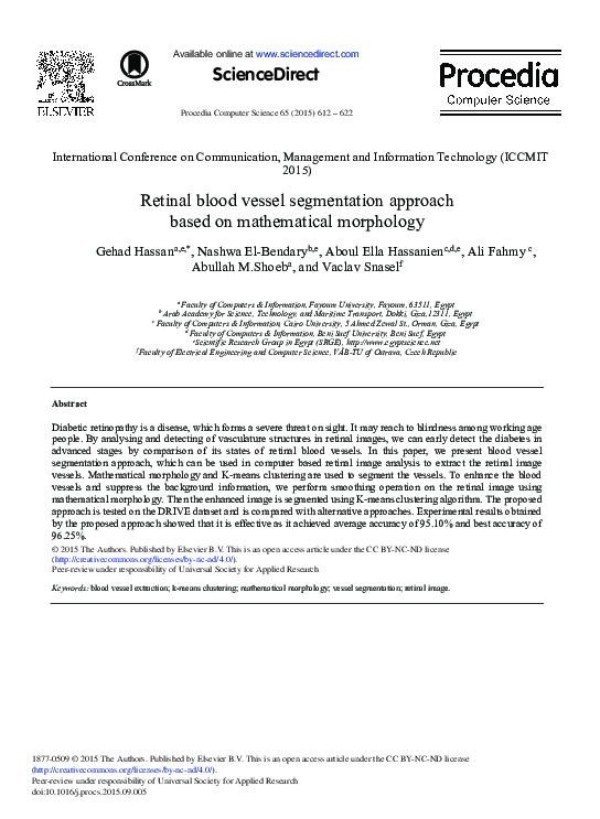 (PDF) Retinal Blood Vessel Segmentation Approach Based on Mathematical ...