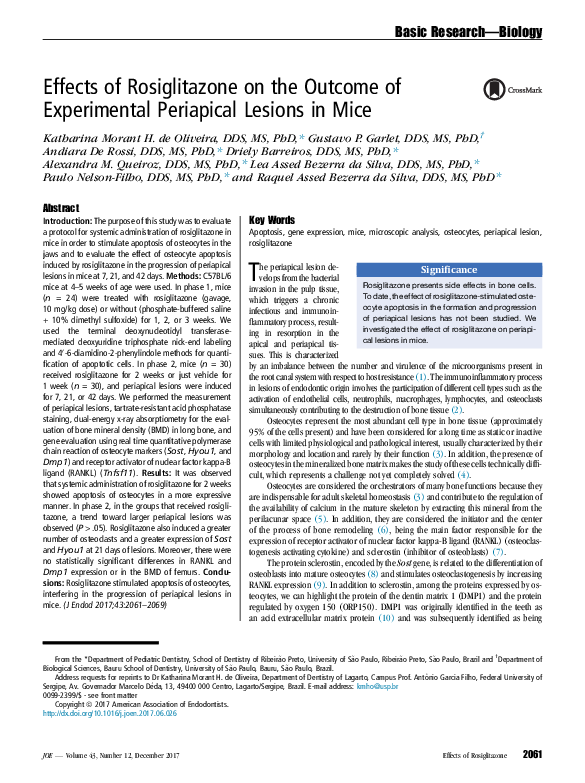 (PDF) Effects of Rosiglitazone on the Outcome of Experimental ...