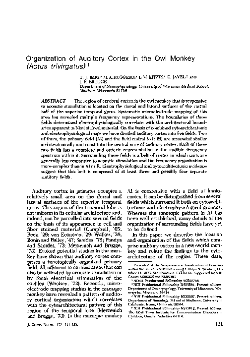 (PDF) Organization of auditory cortex in the owl monkey(Aotus trivirgatus)