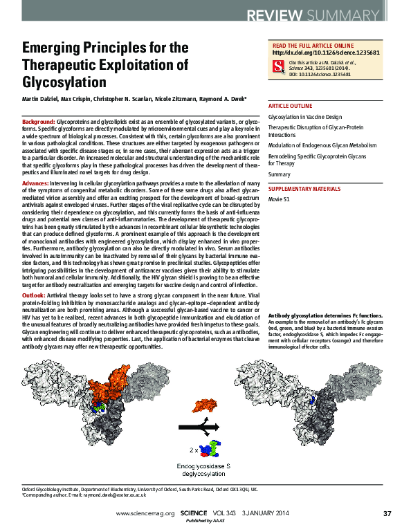 (PDF) Emerging Principles for the Therapeutic Exploitation of Glycosylation