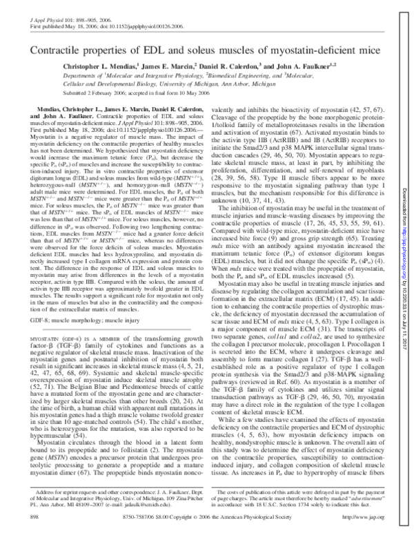 (PDF) Contractile properties of EDL and soleus muscles of myostatin ...