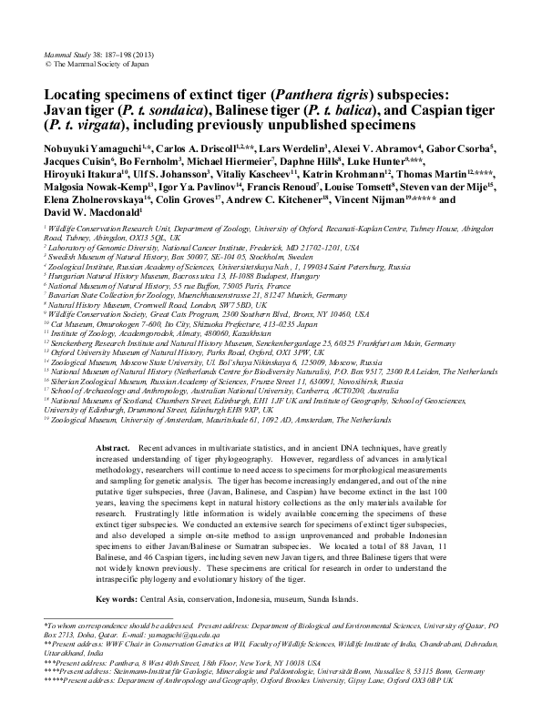 (PDF) Locating Specimens of Extinct Tiger (Panthera tigris) Subspecies ...