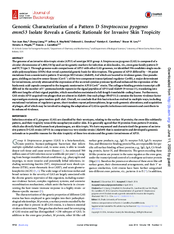 (PDF) Genomic Characterization of a Pattern D Streptococcus pyogenes ...