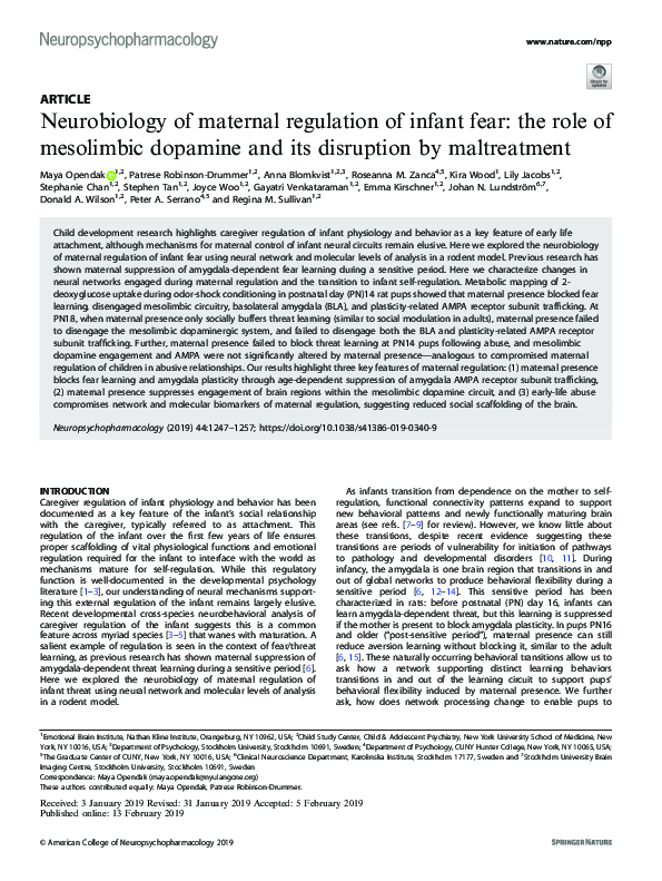 (PDF) Neurobiology of maternal regulation of infant fear: the role of ...