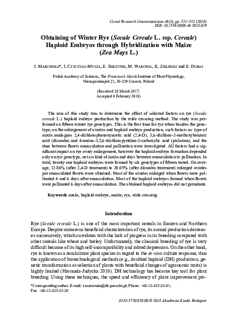 (PDF) Obtaining of winter rye (Secale cereale L. ssp. cereale) haploid ...