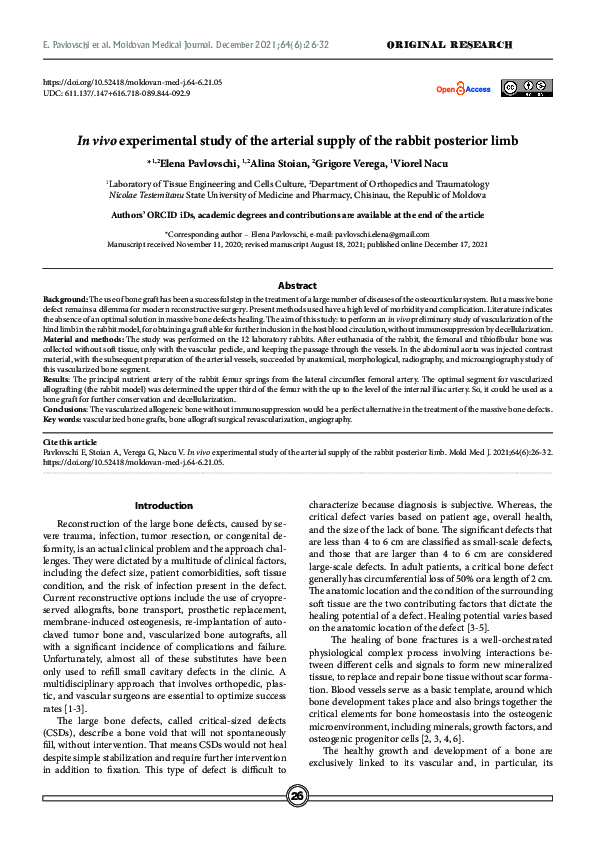 (PDF) In vivo experimental study of the arterial supply of the rabbit ...