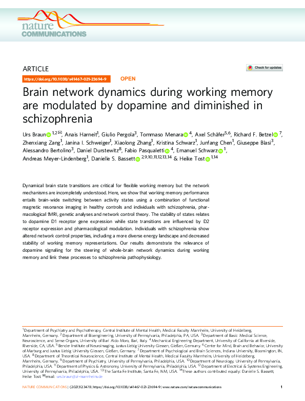 (PDF) Brain network dynamics during working memory are modulated by ...