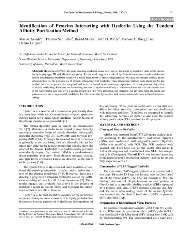 (PDF) Identification of Proteins Interacting with Dysferlin Using the ...