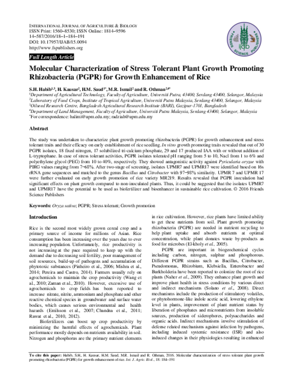 (PDF) Molecular characterization of stress tolerant plant growth ...