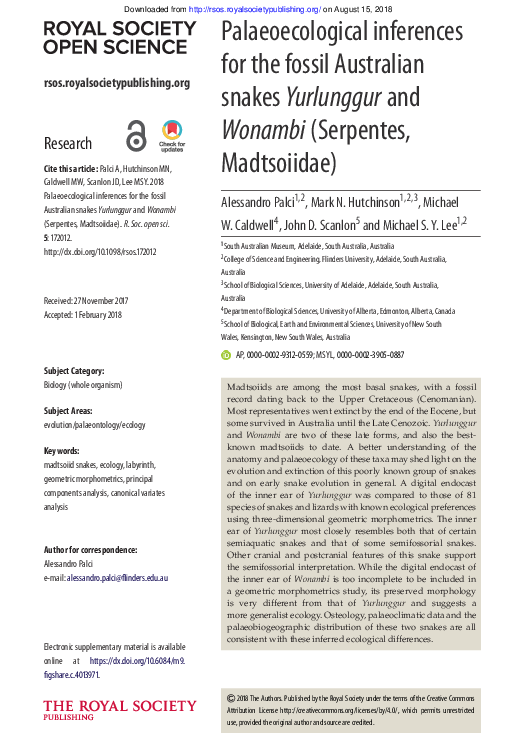 (PDF) {
