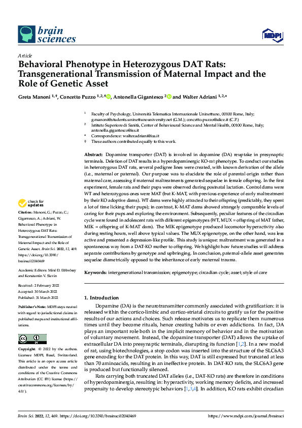 (PDF) Behavioral Phenotype in Heterozygous DAT Rats: Transgenerational ...