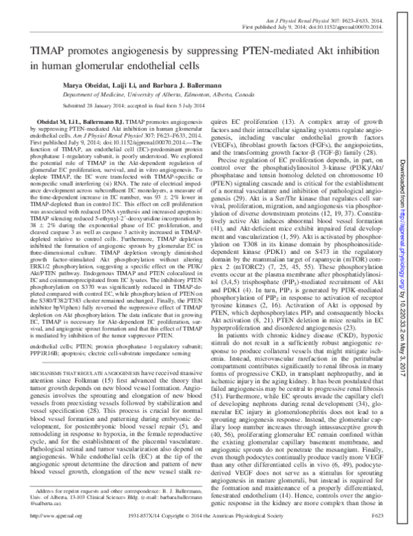 (PDF) TIMAP promotes angiogenesis by suppressing PTEN-mediated Akt ...