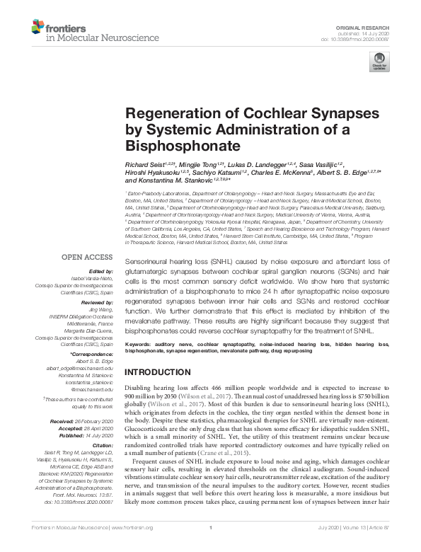 (PDF) Regeneration of Cochlear Synapses by Systemic Administration of a ...