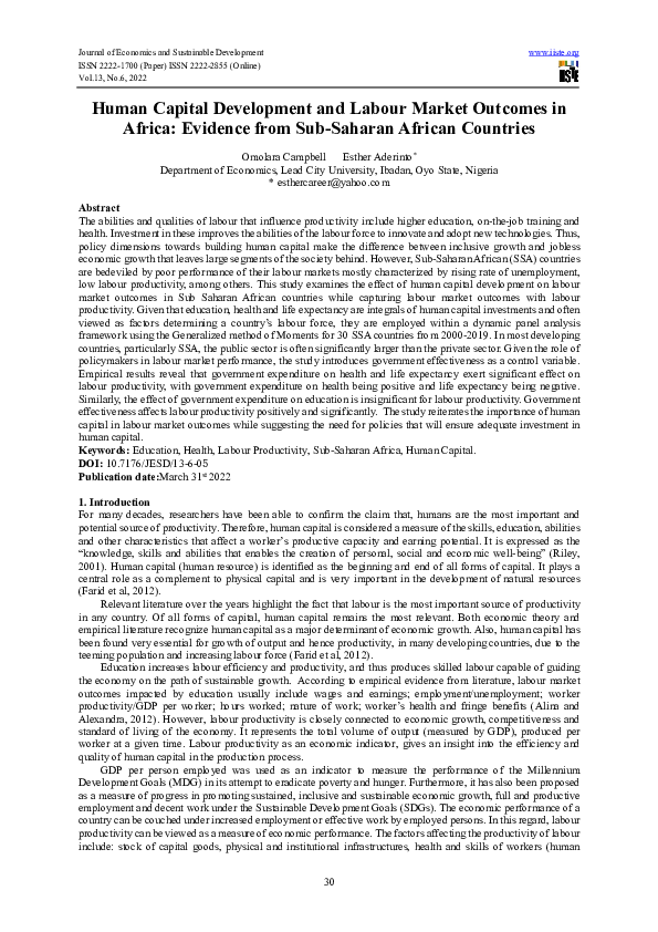 (PDF) Human Capital Development and Labour Market Outcomes in Africa ...
