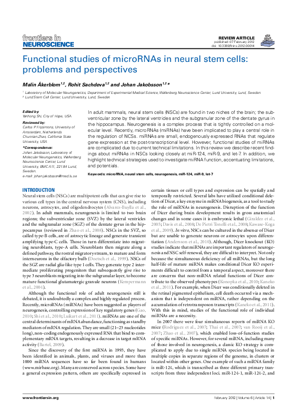 (PDF) Functional Studies of microRNAs in Neural Stem Cells: Problems ...
