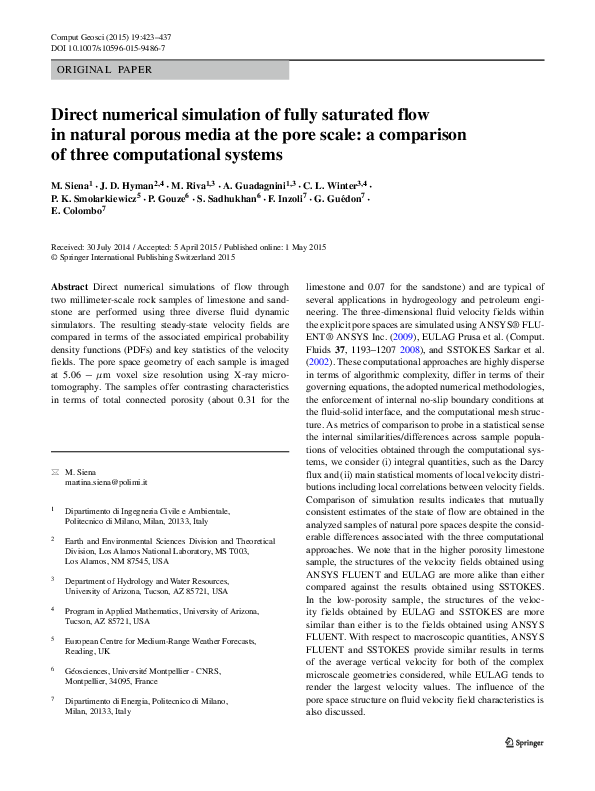 (PDF) Direct numerical simulation of fully saturated flow in natural ...