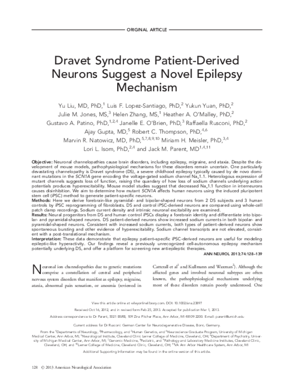 (PDF) Dravet syndrome patient-derived neurons suggest a novel epilepsy ...