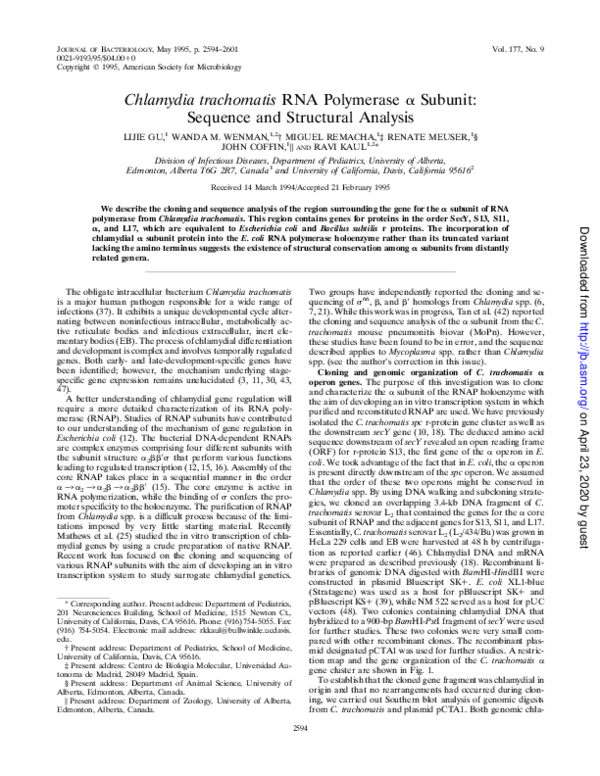 (PDF) Chlamydia trachomatis RNA polymerase alpha subunit: sequence and ...
