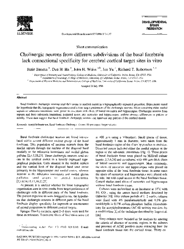 (PDF) Cholinergic neurons from different subdivisions of the basal ...