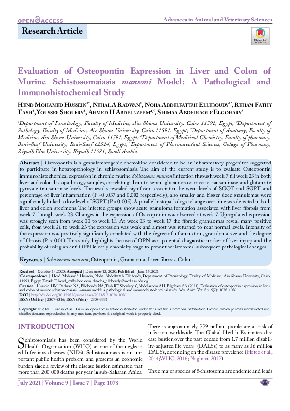 (PDF) Evaluation of Osteopontin Expression in Liver and Colon of Murine ...