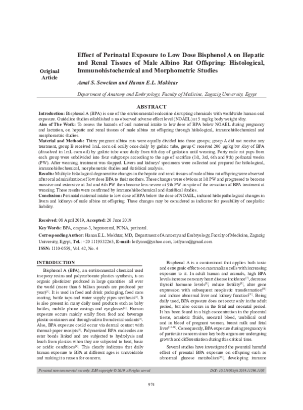 (PDF) Effect of Perinatal Exposure to Low Dose Bisphenol A on Hepatic ...