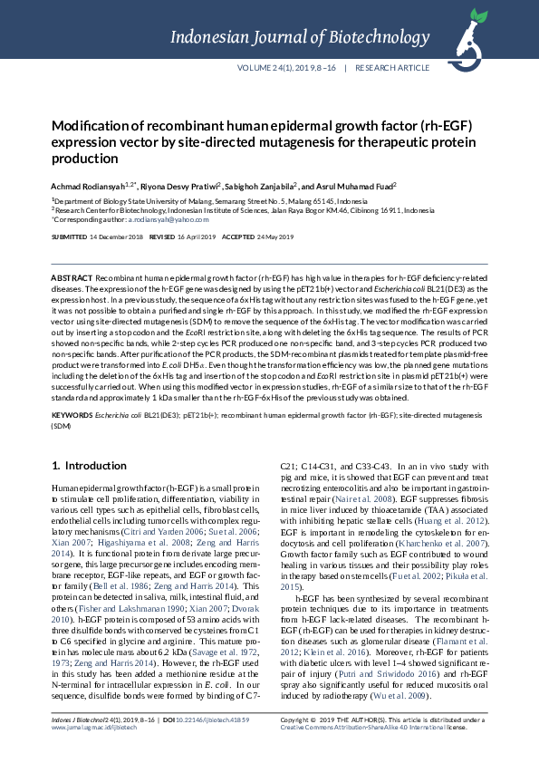 (PDF) Modification of recombinant human epidermal growth factor (rh-EGF ...