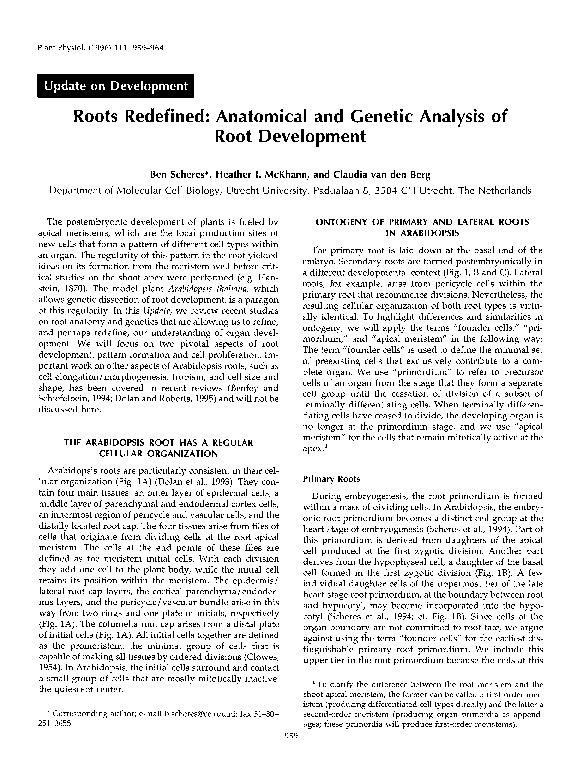 (PDF) Roots Redefined: Anatomical and Genetic Analysis of Root Development