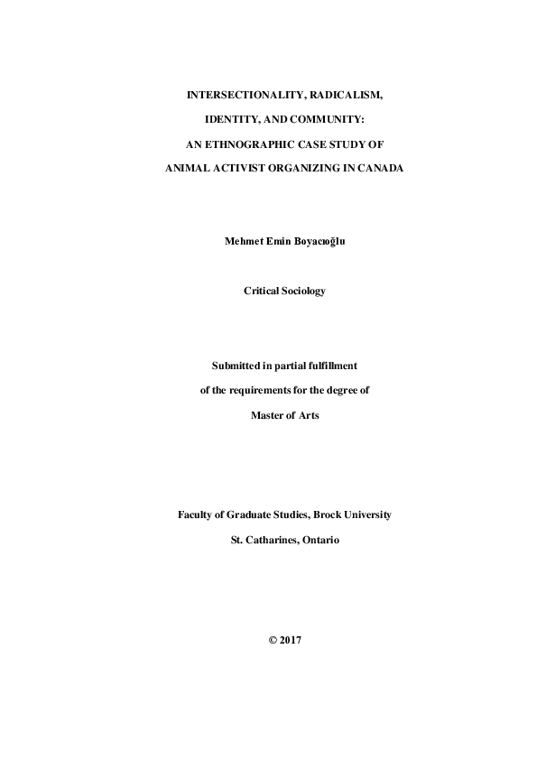(PDF) Intersectionality, Radicalism, Identity, and Community: An ...