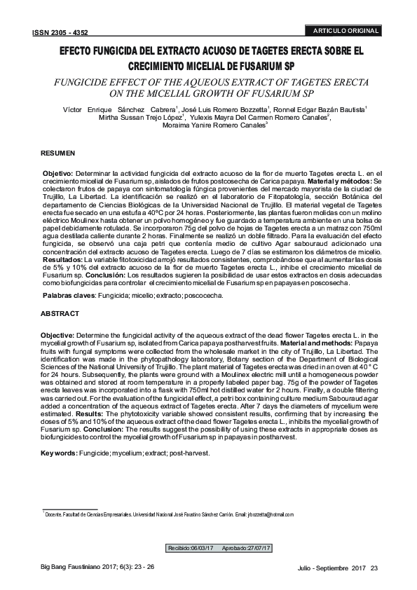 (PDF) Flexible ureterorenoscopy to treat upper urinary tract stones in ...