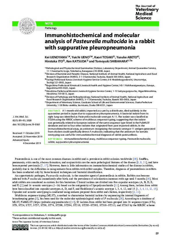 (PDF) Immunohistochemical and molecular analysis of Pasteurella ...