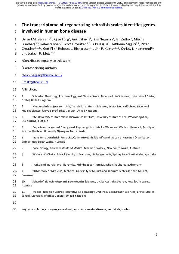 (PDF) The transcriptome of regenerating zebrafish scales identifies ...