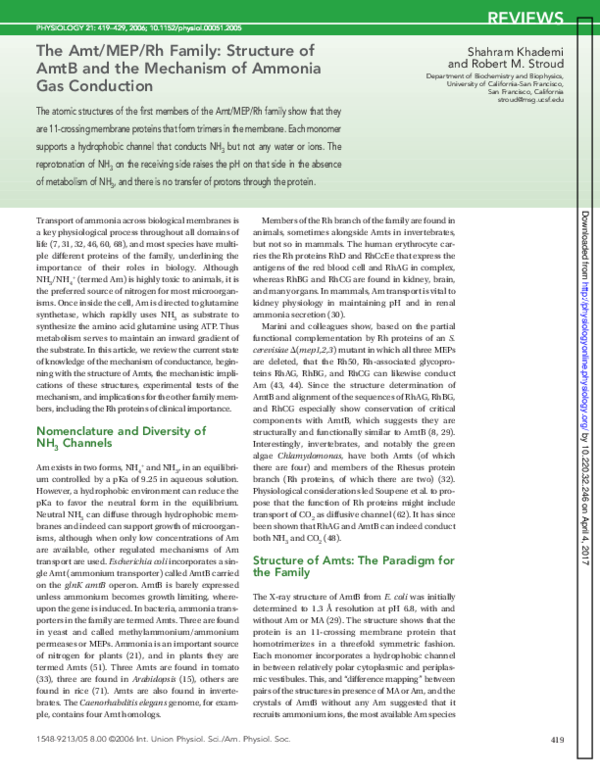 (PDF) The Amt/MEP/Rh Family: Structure of AmtB and the Mechanism of ...