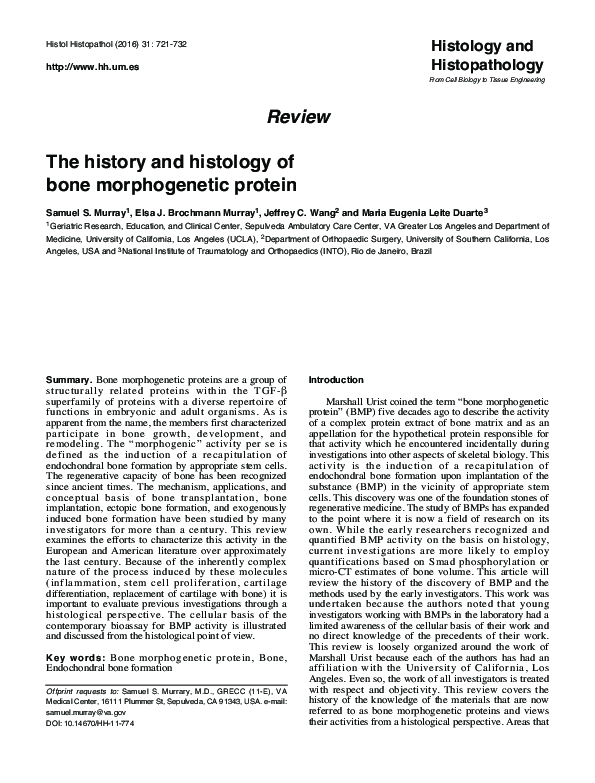 (PDF) The history and histology of bone morphogenetic protein