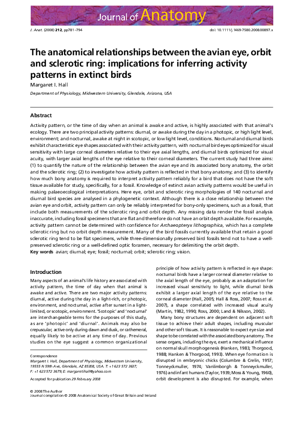(PDF) The anatomical relationships between the avian eye, orbit and ...