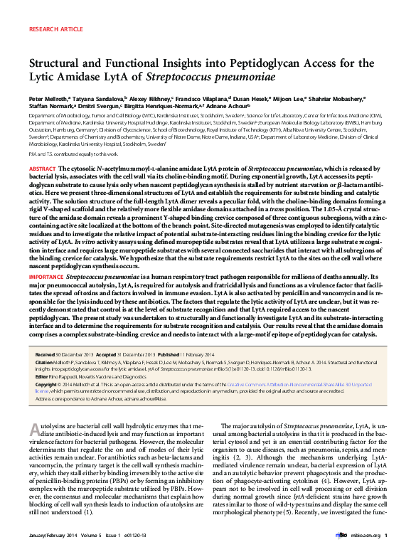 (PDF) Structural and Functional Insights into Peptidoglycan Access for ...