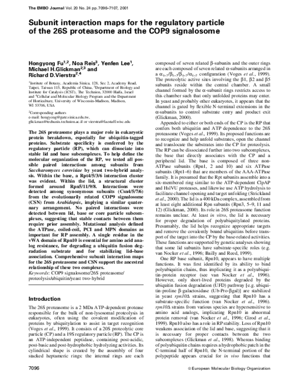 (PDF) Subunit interaction maps for the regulatory particle of the 26S ...