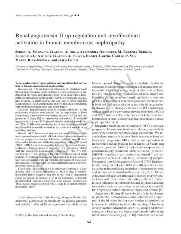 (PDF) Renal angiotensin II up-regulation and myofibroblast activation ...