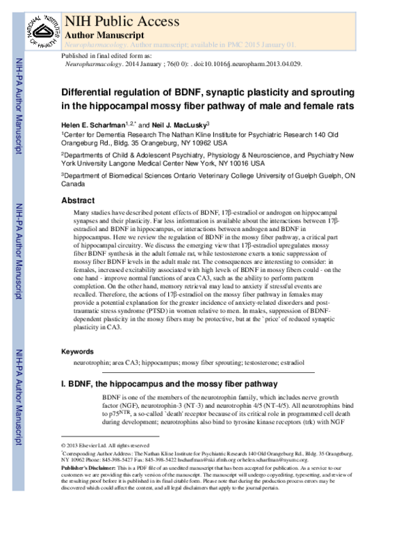 (PDF) Differential regulation of BDNF, synaptic plasticity and ...