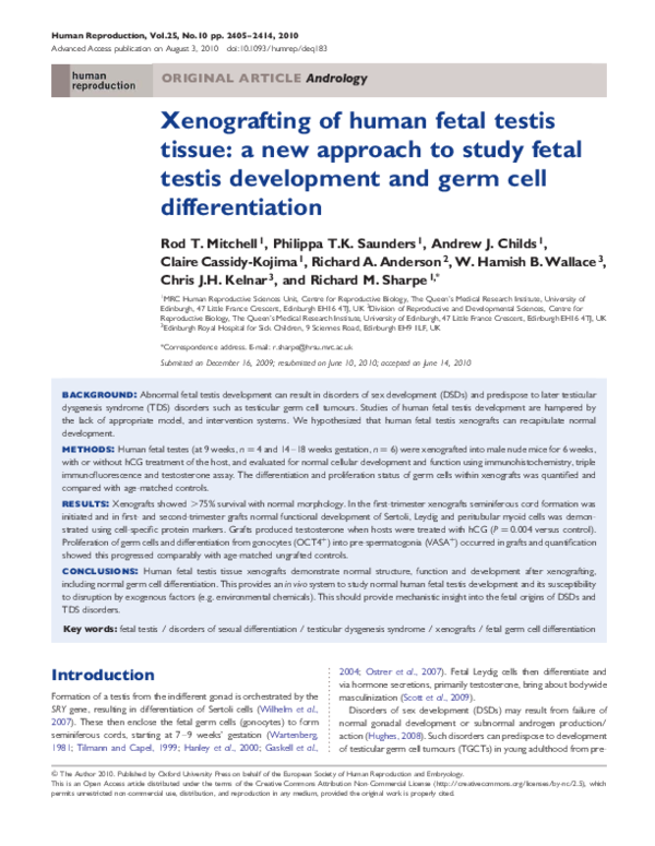 (PDF) Xenografting of human fetal testis tissue: a new approach to ...