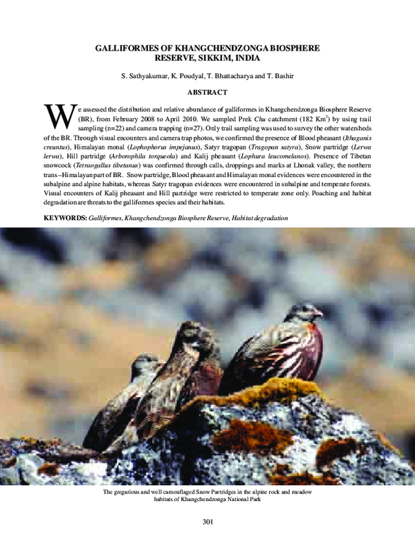 (PDF) Galliformes of Khangchendzonga Biosphere Reserve, Sikkim, India