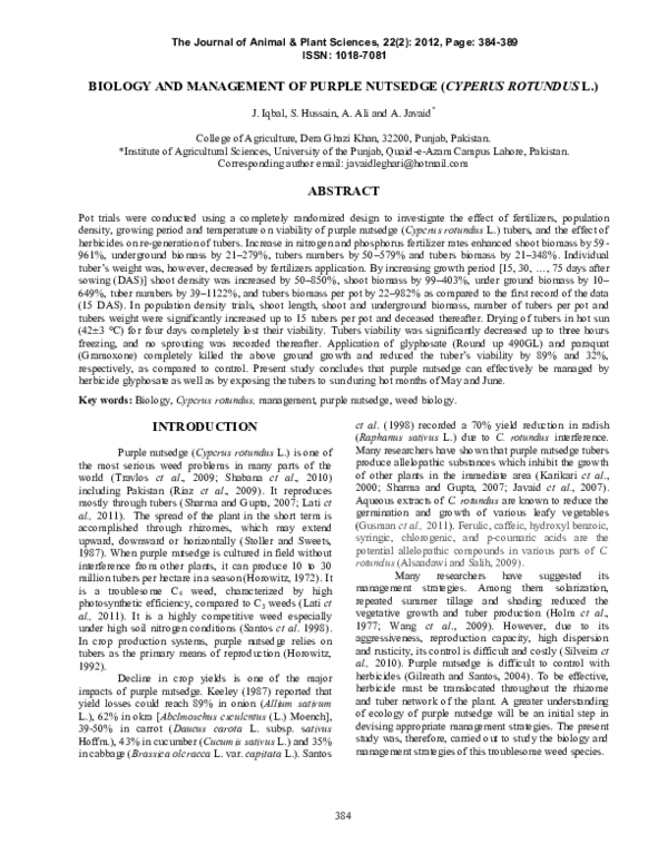 (PDF) Biology and Management of Purple Nutsedge (Cyperus Rotundus L