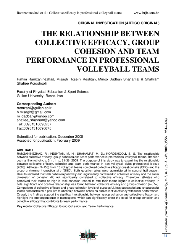 (PDF) The relationship between collective efficacy, group cohesion and ...