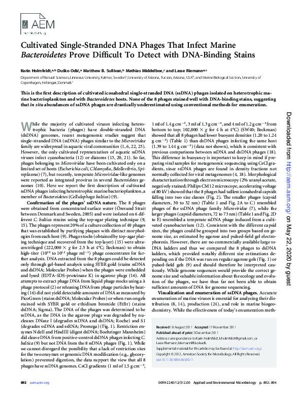(PDF) Cultivated Single-Stranded DNA Phages That Infect Marine ...