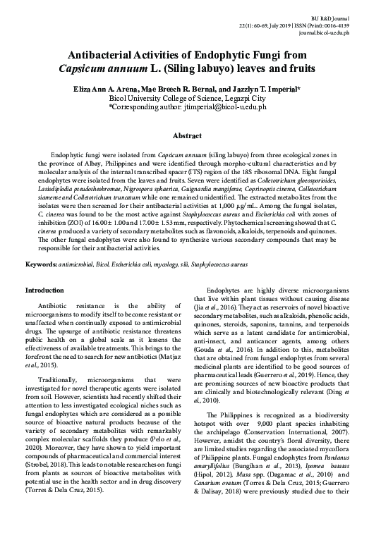 (PDF) Antibacterial Activities of Endophytic Fungi from Capsicum annuum ...