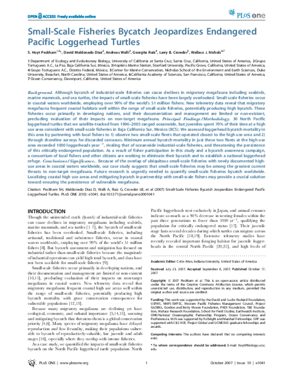 (PDF) Small-Scale Fisheries Bycatch Jeopardizes Endangered Pacific ...