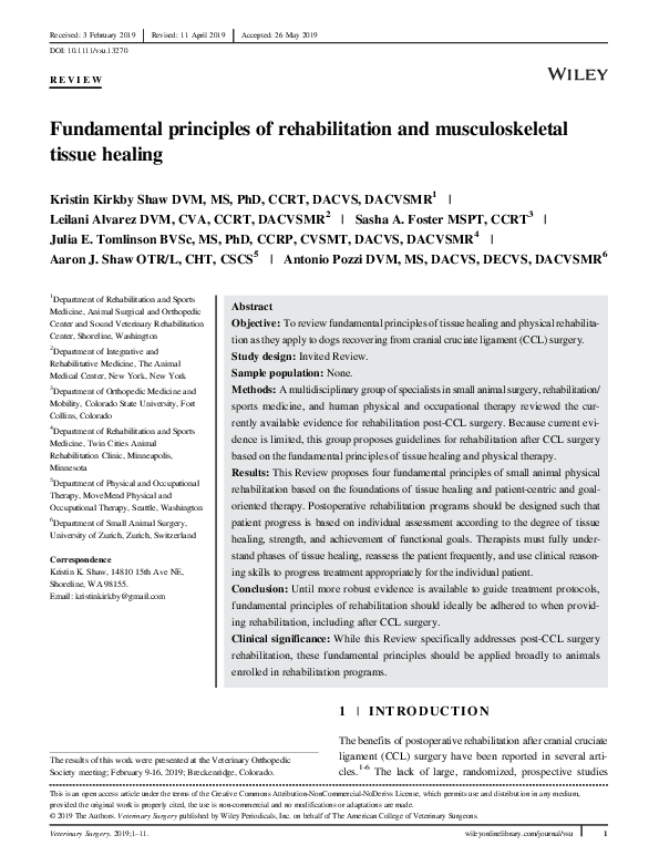 (PDF) Fundamental principles of rehabilitation and musculoskeletal ...
