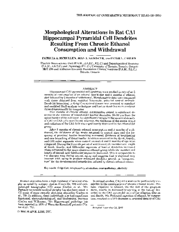 (PDF) Morphological alterations in rat CA1 hippocampal pyramidal cell ...