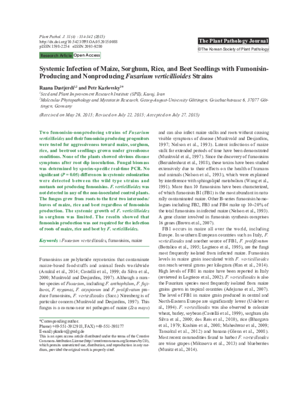 (PDF) Systemic Infection of Maize, Sorghum, Rice, and Beet Seedlings ...