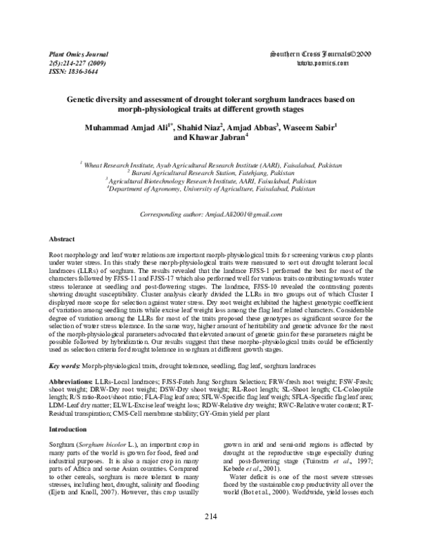 (PDF) Genetic diversity and assessment of drought tolerant sorghum ...