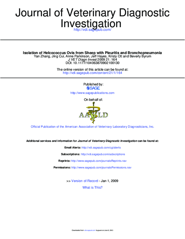 (PDF) Isolation of Helcococcus Ovis from Sheep with Pleuritis and ...